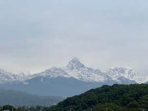 Machhapuchhre View Appartment