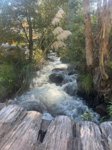 Puma Huanca Riverside Oasis