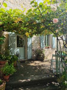 Gîte du chat douillet