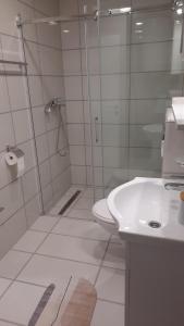 Apartman Sanja Ledine