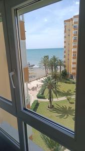 Estudio Algarrobo Costa
