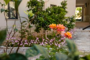 Velora Blue Coast Apartment