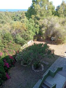 Eden Beach House