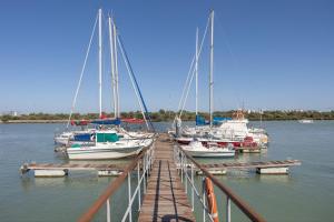 Velero En El Corazón Del Puerto
