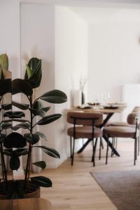 City Center Apartment Lahr - Europapark