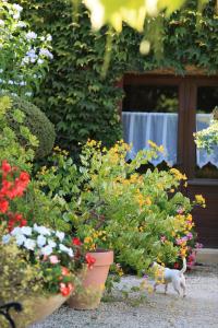 Auberges La Ferme Fleurie : photos des chambres