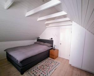 Bright and spacious home near Reykjavik center - sleeps 7