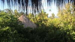 Refugio rodeado de mar, playa, manglar y aves