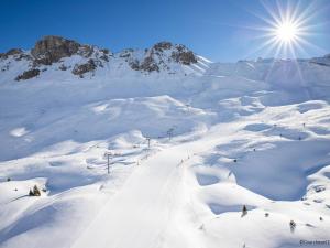 Charmant Studio au Jardin Alpin, Courchevel 1850, 2 Pers, Balcon, Ski InOut - FR-1-575-28