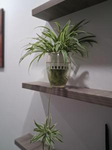 Chung cư mini Ánh Dương xã Vân Canh Hoài Đức