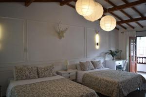 Boutique loft in downtown El Retiro