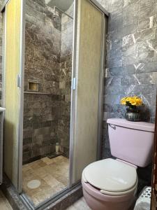 Vintage Apartment Narvarte & Art Gallery