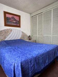 Vintage Apartment Narvarte & Art Gallery
