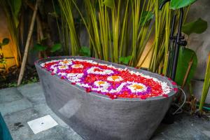 Damarya Boutique Villas Ubud