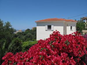 Villa Margaret Rose Kefalloniá Greece
