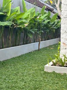 Candra House Ubud