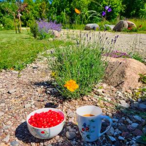 Idaraugu puhkemaja Saaremaa põhjarannikul
