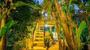 Wild Wood Tree House Sigiriya
