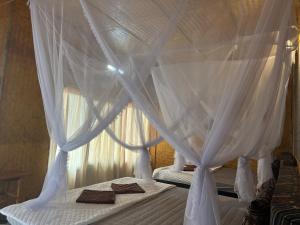 Hakuna Matata Mù Cang Chải Homestay