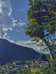 PK Home stay