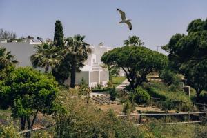 Masana Algarve, Destination by Hyatt