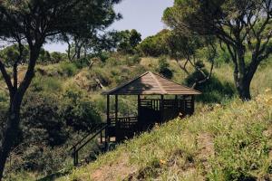 Masana Algarve, Destination by Hyatt