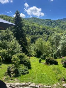 Maison SItta
