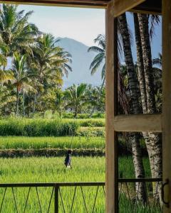 Les Rizieres Lombok