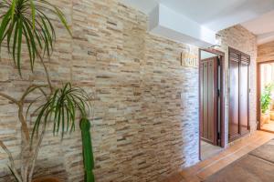 Apartamento Tahivilla- Entre Zahara de los Atunes y Bolonia