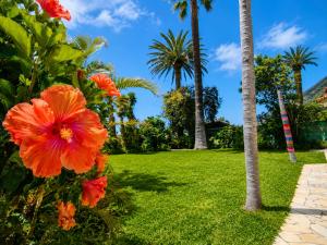 Humboldt Garden