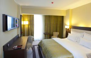 Superior Double Room room in Hotel Pietroasa