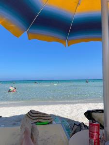 Casa Terrazza Sardegna img11
