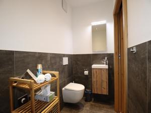 Apartment near the KitzSki area
