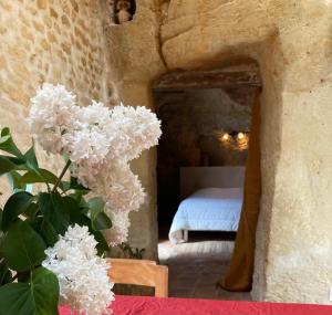Maison Troglodyte La Hulotte - Charme et tranquillité