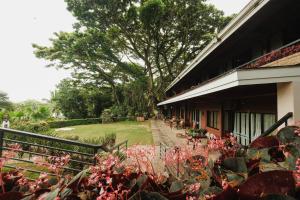 Adlawon Vacation Farm