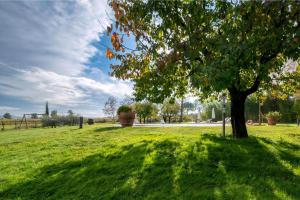 Villa In The Farmhouse With Pool In Tuscany