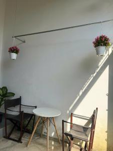 Dương Cầm Homestay