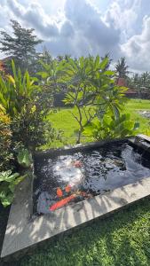 Pondok Sarwi