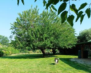 "My Country House" Salo- Rustico con Ampio Giardino, AC, Parcheggio & Pet Friendly