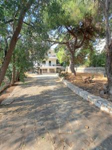 Aqua Vista Saronida Sea View Apartment SUPER COZY
