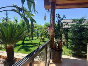 Cabana Maya