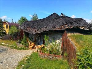 Valea Viselor