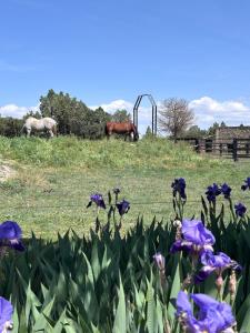 Apartamento Rural Casablanca
