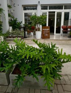 Emoi Stay - Cozy Staycation near SECC - Căn hộ PMH gần SECC