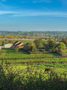 Burgundian House
