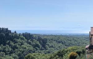 Lovely Apartment In Montescudaio With Wifi