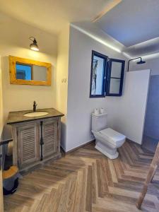 New House With Indoor Pool In Balagne