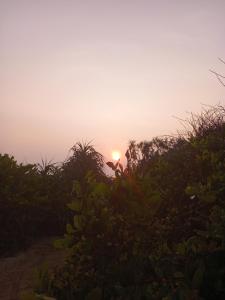 Black Forest Beach Resort
