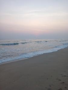 Black Forest Beach Resort