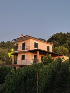 Pink House